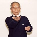 ip chun doing a tan sau technique.jpg