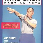 priciples and techniques by yip chun.jpg