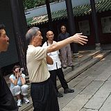 ip ching teaching wing chun kung fu
